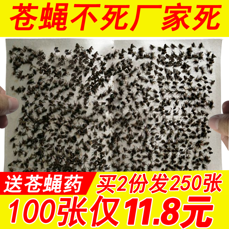 100张苍蝇贴强力粘蝇纸灭苍蝇神器家用粘蝇板苍蝇药胶粘捕蝇|ruв категории начало ежедневно, дегельминтизация товаров, липучка - от Buy2taobao.com для оказания профессиональной услуги покупки агента Taobao