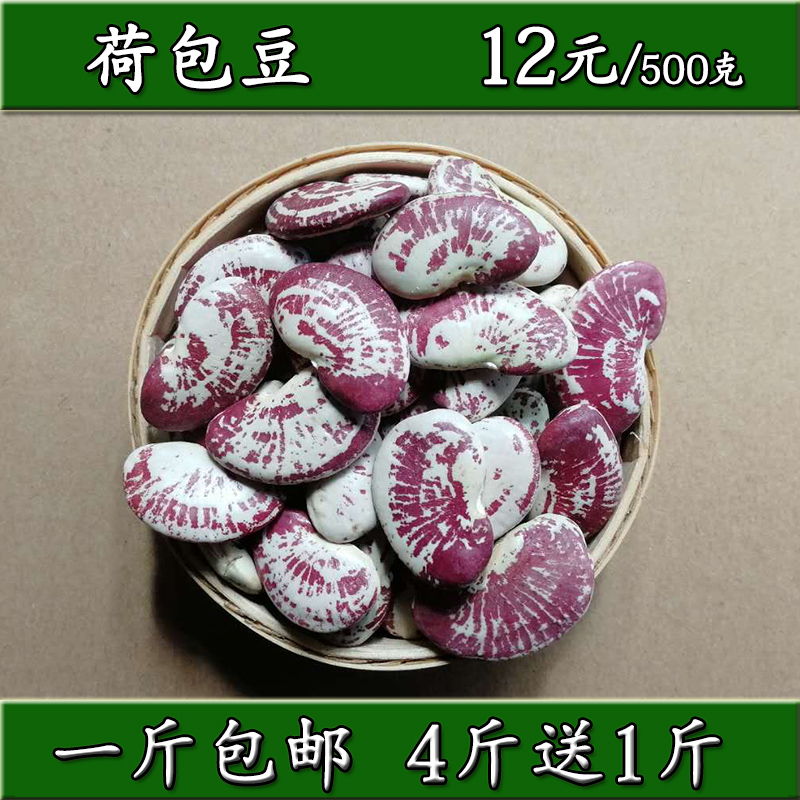 云南特产荷包豆大肾豆农家自产新鲜大花芸状元豆皇帝豆500克包邮在类目 粮油米面/南北干货/调味品, 米/面粉/杂粮, 豆类, 其它中 - 来自Buy2taobao.com提供专业的淘宝代购服务