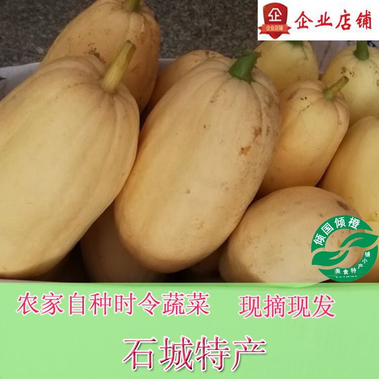 石城特产信瓜农家自种新鲜采摘时令蔬果杏瓜黄皮笋瓜5斤9省包邮|msdalam kategori daging perikanan/Buah-buahan segar dan sayur-sayuran/dimasak, sayur-sayuran segar/Vegetable Products, sayur-sayuran segar, lain - dari Buy2taobao.com untuk memberikan perkhidmatan ejen Taobao profesional membeli