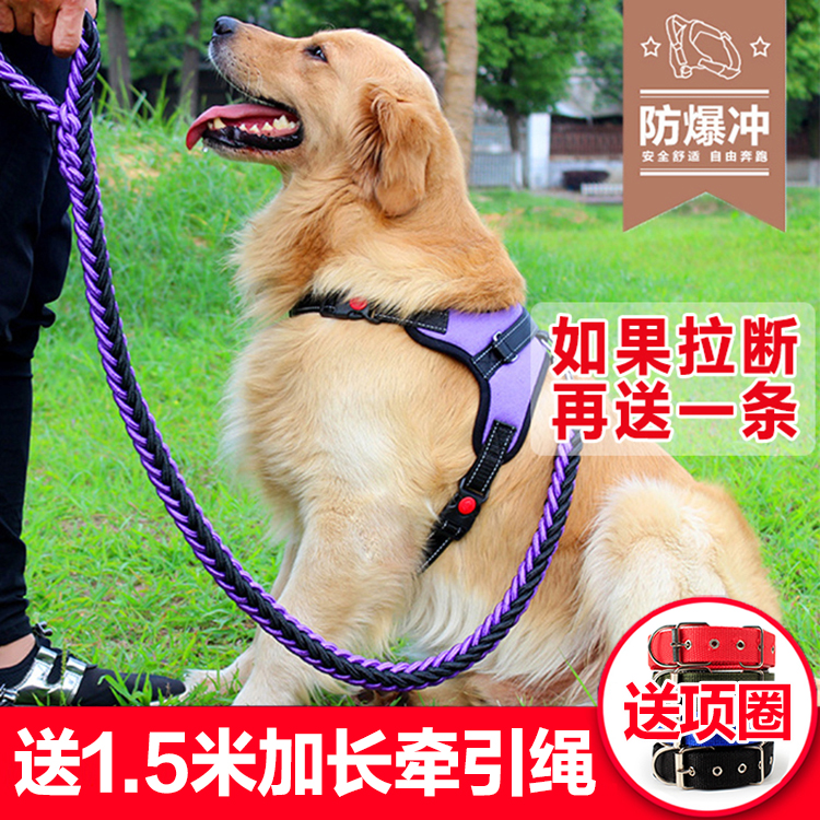 狗狗牵引绳胸背带小型中型大型犬狗链子项圈金毛泰迪狗带外出舒适在类目 宠物/宠物食品及用品, 猫/狗日用品, 家用牵引带中 - 来自Buy2taobao.com提供专业的淘宝代购服务
