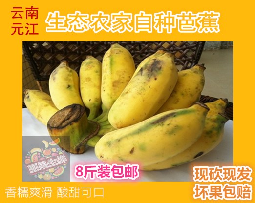 云南元江傣族农家自种芭蕉绿色水果香蕉孕妇小孩新鲜水果8斤包邮在类目 水产肉类/新鲜蔬果/熟食, 新鲜水果, 香蕉中 - 来自Buy2taobao.com提供专业的淘宝代购服务