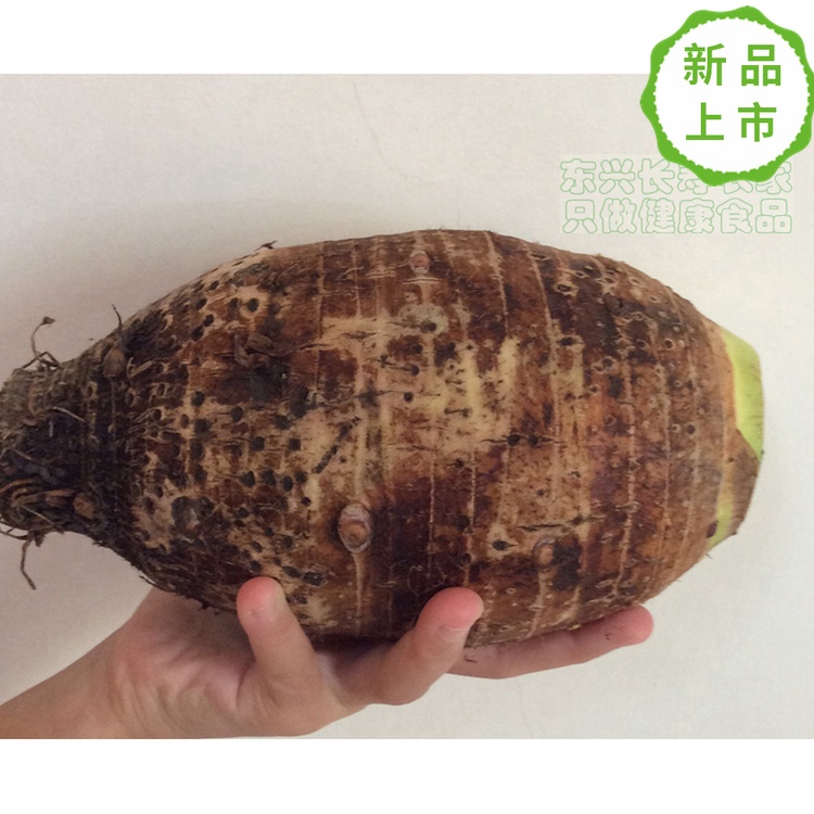 广西新鲜荔浦芋头 香芋 5斤装包邮 现挖现卖 超级粉香 单个一斤多|ruв категории водной мясо/свежие фрукты и овощи/еда, свежие овощи/овощной продукции, свежие овощи, другие - от Buy2taobao.com для оказания профессиональной услуги покупки агента Taobao