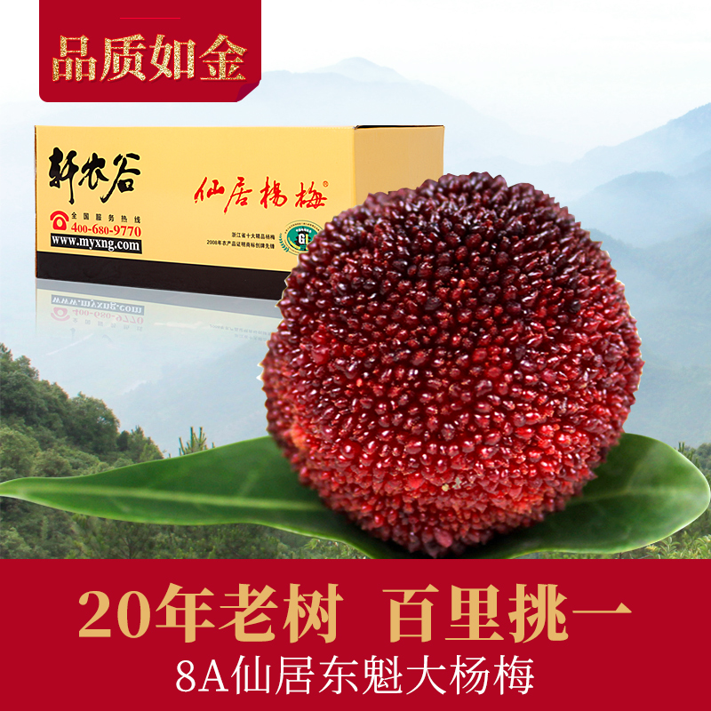 正宗仙居杨梅东魁8A大杨梅新鲜当季水果 6斤礼盒装在类目 水产肉类/新鲜蔬果/熟食, 新鲜水果, 其它中 - 来自Buy2taobao.com提供专业的淘宝代购服务