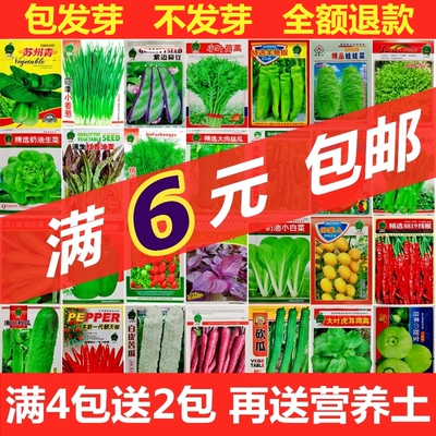 菜种籽草莓种子蔬菜种孑黄瓜香菜玉米向日葵荆芥秋葵辣椒薄荷种籽