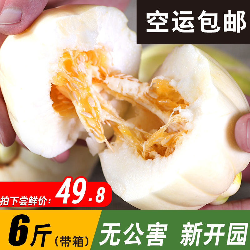 【祺宝农庄】东北香瓜5斤现摘现卖无皮脆甜非白糖罐甜瓜新鲜水果|msdalam kategori daging perikanan/Buah-buahan segar dan sayur-sayuran/dimasak, buah-buahan segar, lain - dari Buy2taobao.com untuk memberikan perkhidmatan ejen Taobao profesional membeli