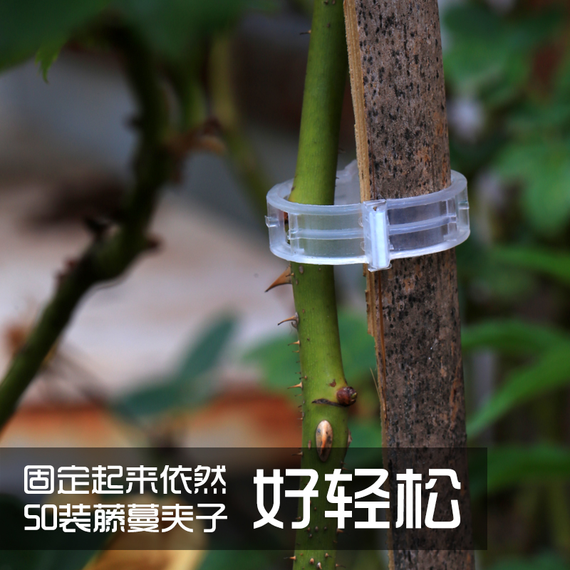 藤蔓固定夹子庭院阳台花园花卉蔬菜种植塑料绑枝夹吊藤扶蔓植物夹在类目 鲜花速递/花卉仿真/绿植园艺, 园艺用品, 其它园艺用品中 - 来自Buy2taobao.com提供专业的淘宝代购服务