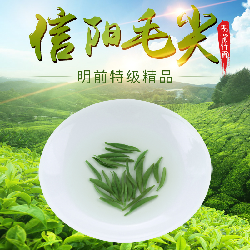 正宗信阳毛尖2019新茶全芽头头采高山明前特级纯芽头信阳直发500g在类目 茶, 绿茶(新), 信阳毛尖中 - 来自Buy2taobao.com提供专业的淘宝代购服务