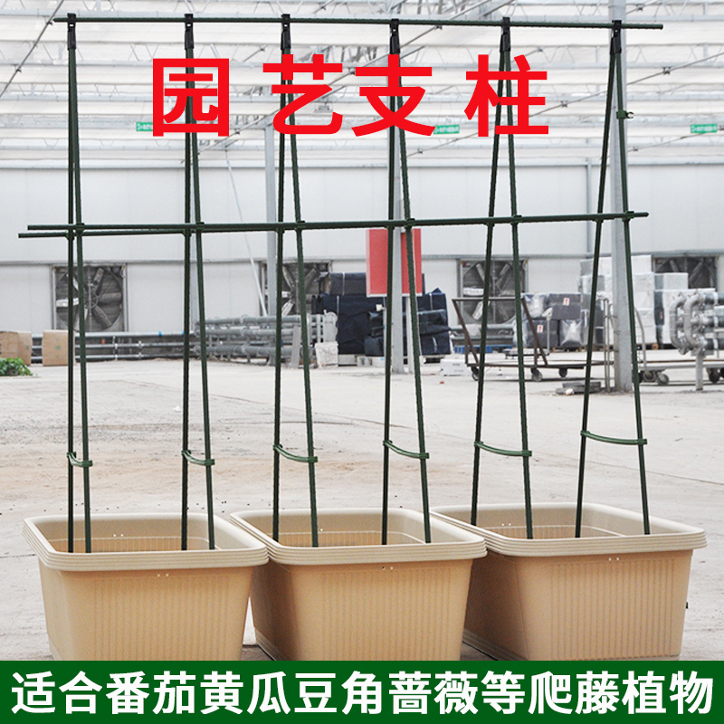 包塑钢管蔓藤支架阳台月季花支柱番茄黄瓜豆角蔷薇植物爬藤支架|msdalam kategori penghantaran bunga/bunga simulasi/tumbuhan berkebun, Gardening Supplies, Peralatan Perkebunan lain - dari Buy2taobao.com untuk memberikan perkhidmatan ejen Taobao profesional membeli