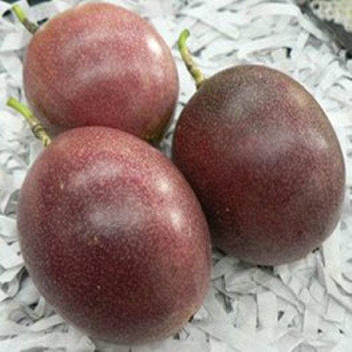 fresh fruit Passion fruit Guangxi specialty 10 Super large Red berries Passionflower Eggs, fruit goods in stock Fragrant and sweetin the Aquatic meat/Fresh fruits and vegetables/Cooked , Fresh fruit , Passion Fruit category - from Buy2taobao.com to provide professional Taobao agent buy service
