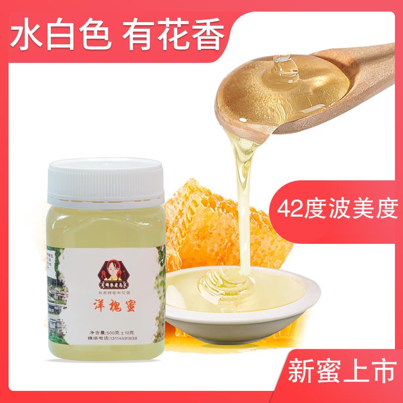 Bee farmer nag pure Natural honey Farm Production Locust wild Orthodox school Home pregnant woman 1 pounds Acacia honeyin the Traditional nourishing food , Honey category - from Buy2taobao.com to provide professional Taobao agent buy service