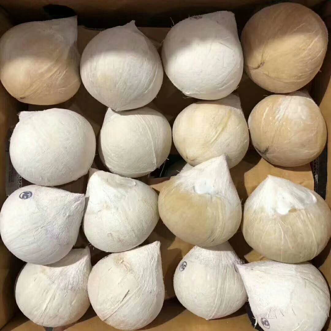 时令水果泰国进口椰皇新鲜椰子原箱16只大椰子量大优惠满包邮在类目 水产肉类/新鲜蔬果/熟食, 新鲜水果, 其它中 - 来自Buy2taobao.com提供专业的淘宝代购服务