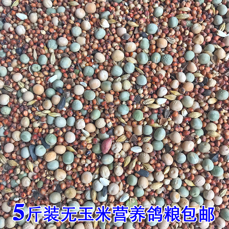 Class A Corn Youngsters feed birdseed Pigeon Watch Pigeon dove Sand Health Youngstersin the Pet/Pet food and supplies , Birds and supplies , Bird food category - from Buy2taobao.com to provide professional Taobao agent buy service