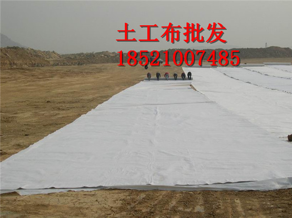 白色200克重加厚棉被白色土工布毛氈布工程水泥路面養護河道護坡在類目 鮮花速遞/花卉仿真/綠植園藝, 園藝用品, 其它園藝用品中 - 來自Buy2taobao.com提供專業的淘寶代購服務