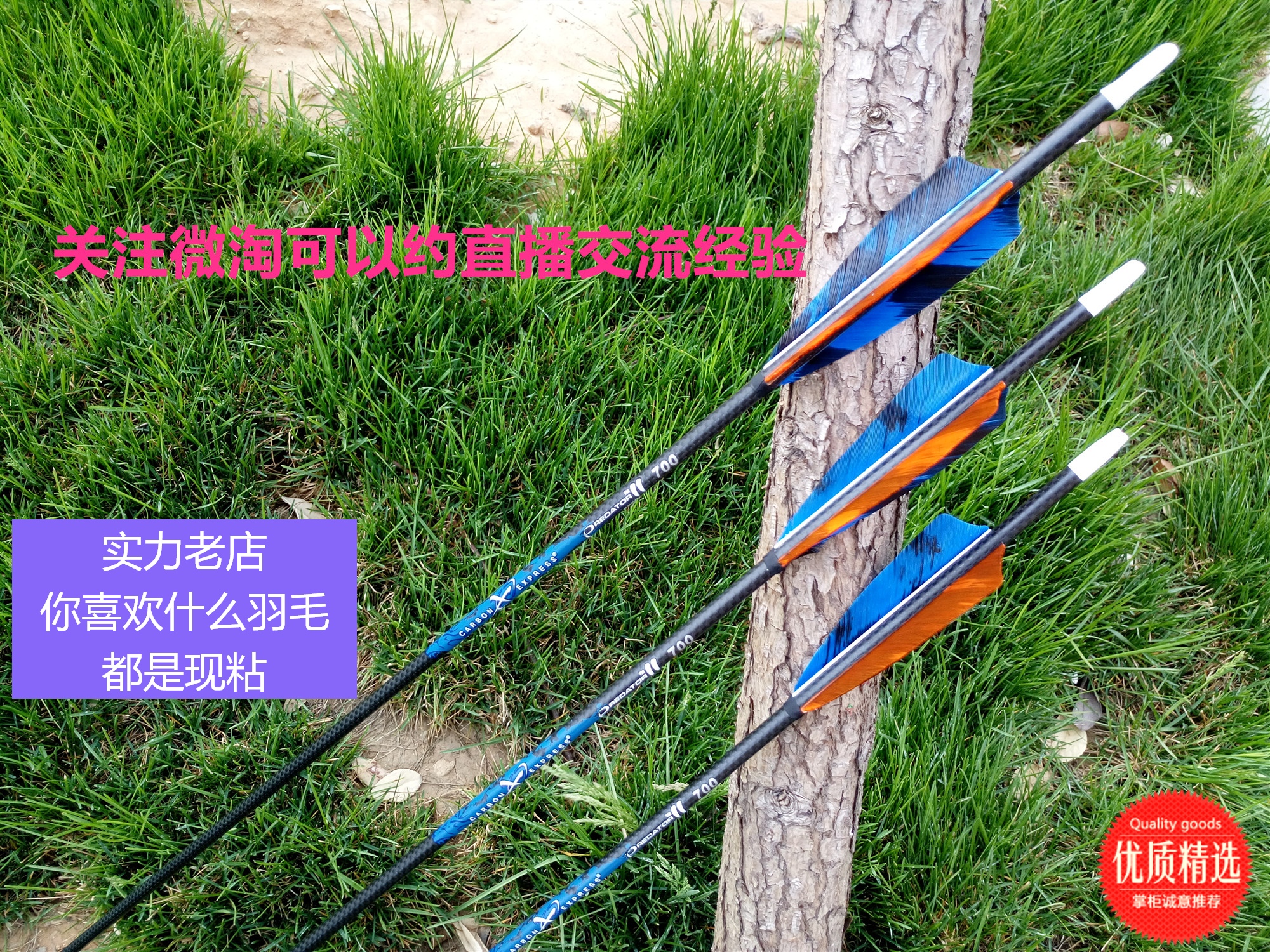 ce 3k纯碳箭700 650 600 500 400挠度 美猎箭传统箭 箭支在类目 玩具/童车/益智/积木/模型, 户外运动/休闲/传统玩具, 飞镖/射击/射箭类中 - 来自Buy2taobao.com提供专业的淘宝代购服务
