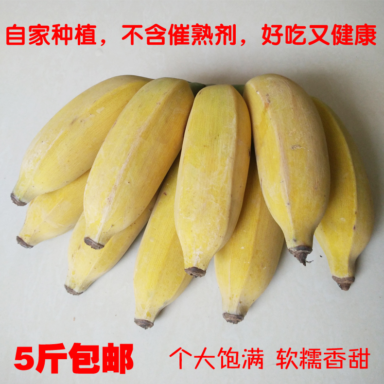 广西农家无公害西贡蕉 新鲜香蕉孕妇水果粉蕉banana芭蕉 5斤包邮在类目 水产肉类/新鲜蔬果/熟食, 新鲜水果, 香蕉中 - 来自Buy2taobao.com提供专业的淘宝代购服务