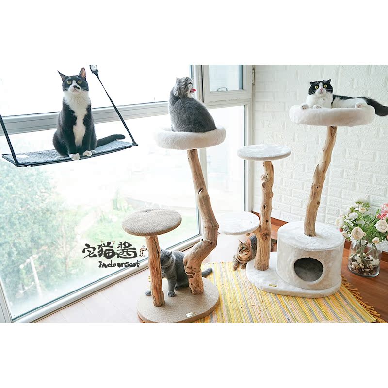 宅猫酱 猫咪上树 凯瑞实木树枝猫窝 catry树木窝猫爬架磨爪猫玩具在类目 宠物/宠物食品及用品, 猫/狗玩具, 猫爬架中 - 来自Buy2taobao.com提供专业的淘宝代购服务