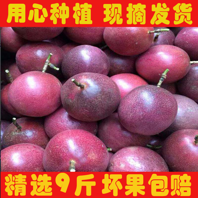 bright red Farm fruit Eggs, fruit Passion fruit Passionflower pregnant woman fruit Fresh 9 Guangxi Orchard Direct sellingin the Aquatic meat/Fresh fruits and vegetables/Cooked , Fresh fruit , Other category - from Buy2taobao.com to provide professional Taobao agent buy service
