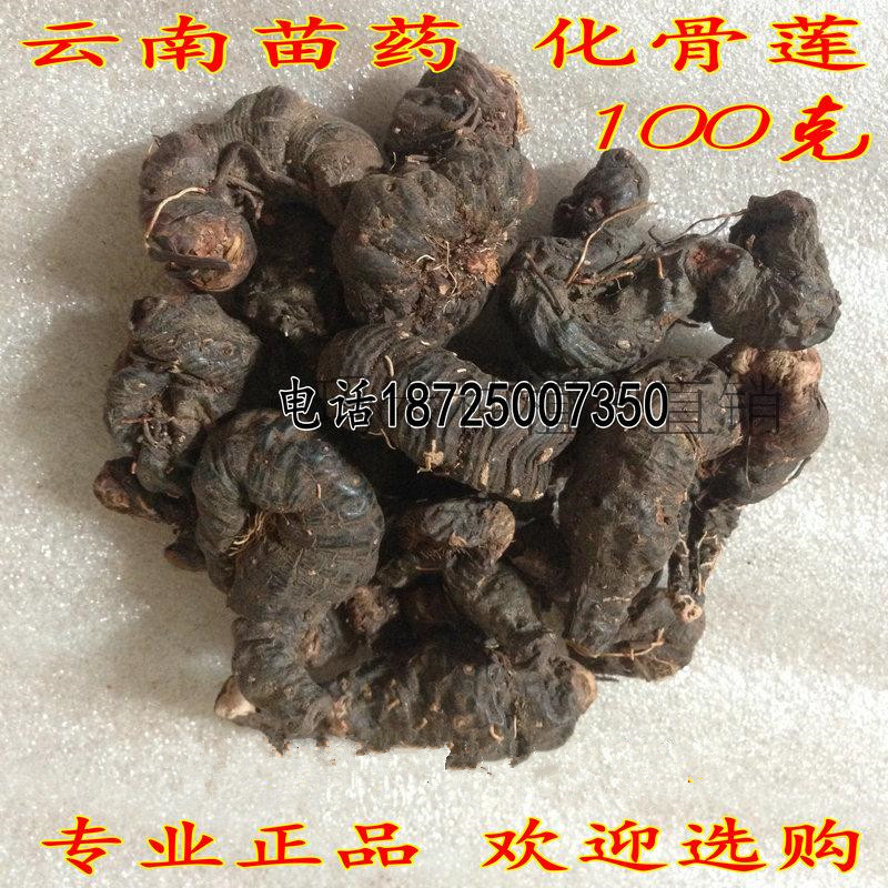 化骨莲 云南苗家特产中草药 中药材泡酒料药酒料|msdalam kategori makanan berkhasiat tradisional, Lain tonik tradisional, Lain tonik tradisional - dari Buy2taobao.com untuk memberikan perkhidmatan ejen Taobao profesional membeli