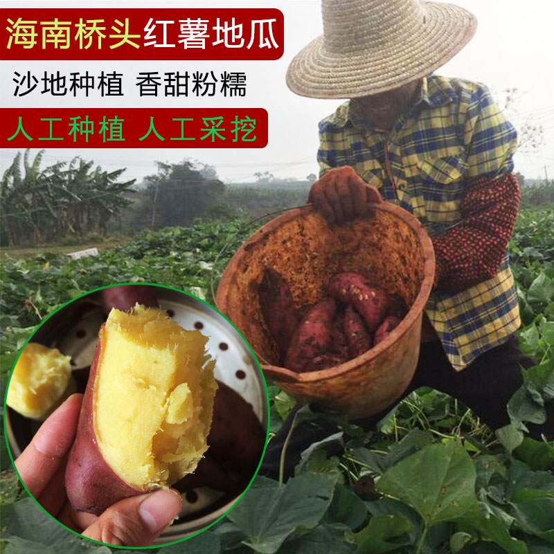 海南地瓜红薯5斤澄迈富硒桥头农家沙地香甜粉新鲜特产板栗番薯五在类目 水产肉类/新鲜蔬果/熟食, 新鲜蔬菜/蔬菜制品, 新鲜蔬菜, 番薯中 - 来自Buy2taobao.com提供专业的淘宝代购服务
