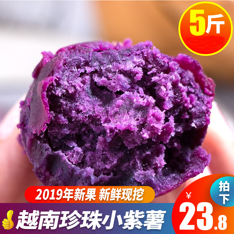 Vietnam Purple sweet potato fresh 5 pounds Farm Smaller Sweet potato Sweet potato sweet potato Sand Chinese chestnut 10 Potatoin the Aquatic meat/Fresh fruits and vegetables/Cooked , Fresh vegetables/Vegetable products , Fresh vegetables , Sweet potato category - from Buy2taobao.com to provide professional Taobao agent buy service