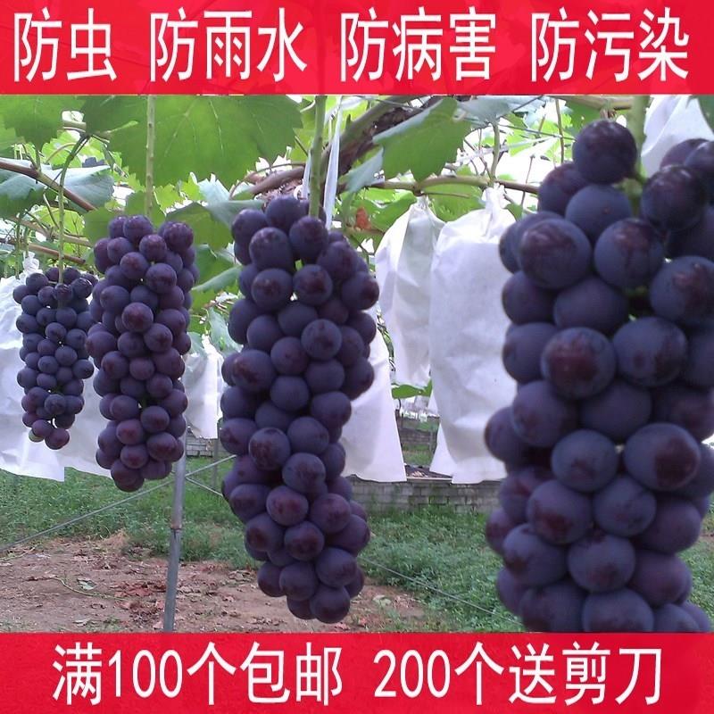 树上保护袋套袋袋100个 加厚简约的纸袋包的袋子套大号纸葡萄袋果|ruв категории доставка цветов/цветок моделирования/растения садоводства, садовых принадлежностей, других садовых принадлежностей - от Buy2taobao.com для оказания профессиональной услуги покупки агента Taobao