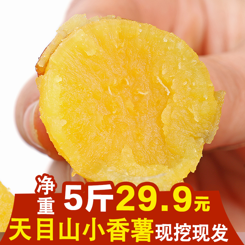 Linan Tianmu Mountain 5 Orthodox school sweet potato Chinese chestnut Sweet potato Yellow Heart Sweet potatoin the Aquatic meat/Fresh fruits and vegetables/Cooked , Fresh vegetables/Vegetable products , Fresh vegetables , Sweet potato category - from Buy2taobao.com to provide professional Taobao agent buy service