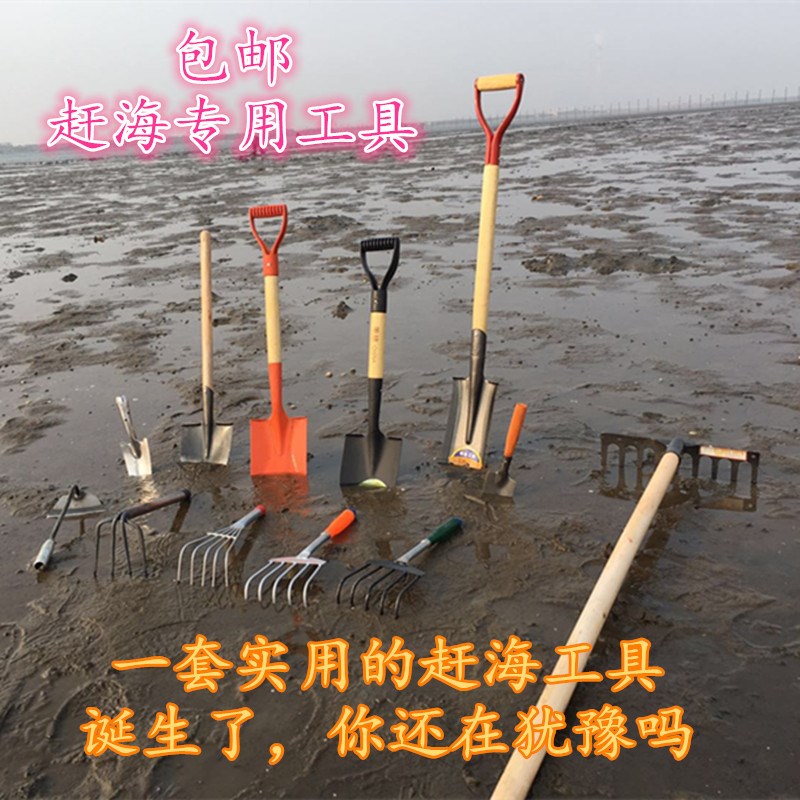 不锈钢小耙子沙滩挖蛤蜊海鲜花蛤蚬子蛏子螺神器专用赶海工具装备|ruв категории Цифровые аксессуары, аксессуары для мобильных телефонов, телефон пыли пробка - от Buy2taobao.com для оказания профессиональной услуги покупки агента Taobao