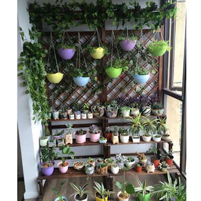 Anticorrosive wood balcony Flower trellis Shelf Carbonize solid wood multi-storey Ladder Floor type Flower trellis indoor grid Flowerpot holderin the Residential furniture , Shelf , Flower/Spend a few category - from Buy2taobao.com to provide professional Taobao agent buy service