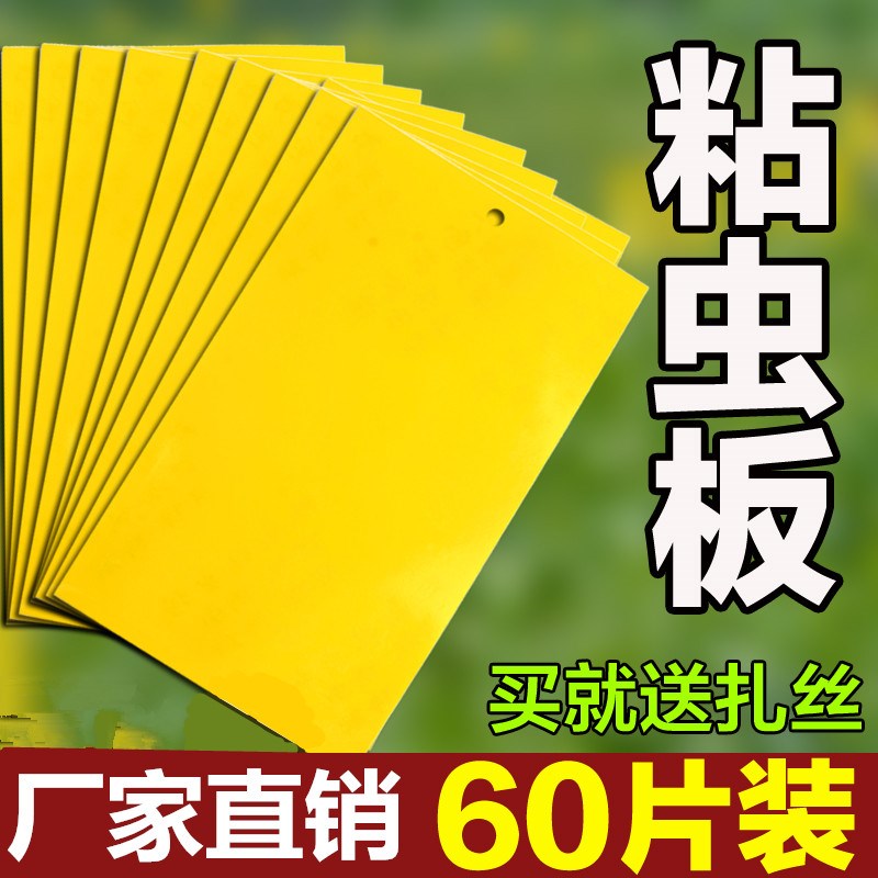 蚊子白粉虱板粘飞虫纸板防虫板虫子小黑虫粘花园大棚果园粘虫板黄|ruв категории доставка цветов/цветок моделирования/растения садоводства, садовых принадлежностей, других садовых принадлежностей - от Buy2taobao.com для оказания профессиональной услуги покупки агента Taobao