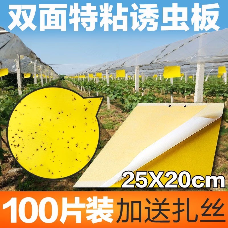 诱虫板吸虫针锋黄色长方形塑胶小飞虫防虫果树粘虫板黄板大棚粘板在类目 鲜花速递/花卉仿真/绿植园艺, 园艺用品, 其它园艺用品中 - 来自Buy2taobao.com提供专业的淘宝代购服务