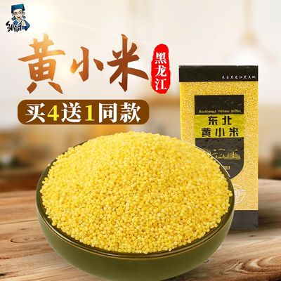 2019新东北黄小米500g 五谷杂粮吃的小黄米黑龙江粮食糯小米特产