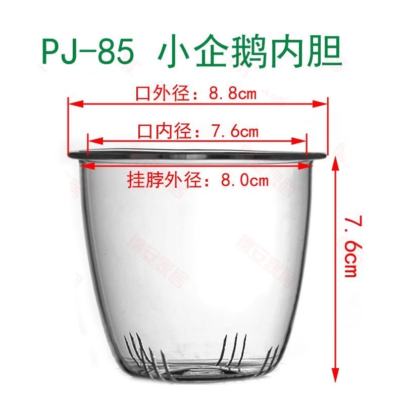 過漏網配件有蓋玻璃 便攜茶水分離茶壺養生茶漏內膽 濾茶過濾茶杯在類目 餐飲具, 茶具, 茶道/零配中 - 來自Buy2taobao.com提供專業的淘寶代購服務