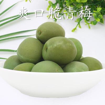 丰果盈园青梅散装500g杭州特产脆青梅子爽口梅去火梅酸甜凉果蜜饯