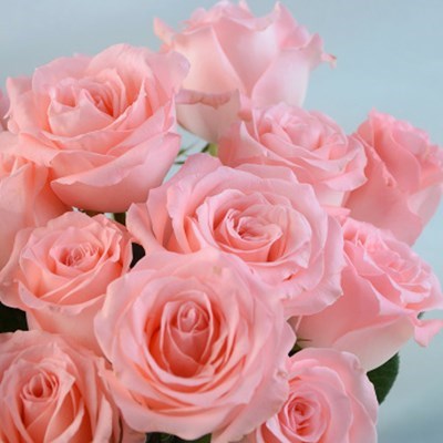 rose Valentine's Day Bouquet of flowers Yunnan Kunming Base bulk Straight hair Water to keep Cut birthday wedding arrangementin the Flower delivery/Flowers simulation/Plants gardening , Flower delivery(City) category - from Buy2taobao.com to provide professional Taobao agent buy service