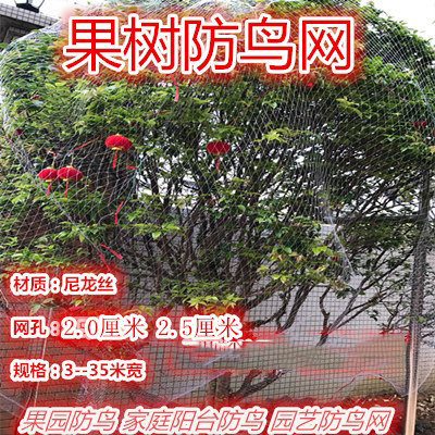 盖樱桃树的网防鸟网防虫防风网网罩果树果园农用天网棚罩透明在类目 鲜花速递/花卉仿真/绿植园艺, 园艺用品, 其它园艺用品中 - 来自Buy2taobao.com提供专业的淘宝代购服务