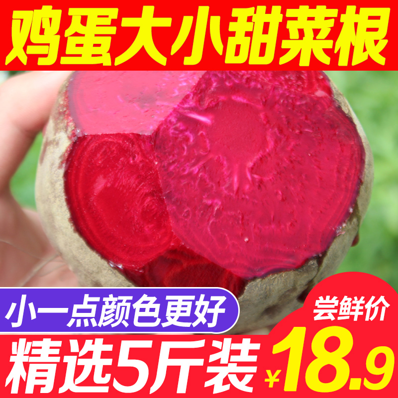 小個甜菜根新鮮現挖5斤甜菜頭紫菜頭紅甜菜農産品蔬菜紅菜頭包郵在類目 水產肉類/新鮮蔬果/熟食, 新鮮蔬菜/蔬菜製品, 新鮮蔬菜, 其它中 - 來自Buy2taobao.com提供專業的淘寶代購服務