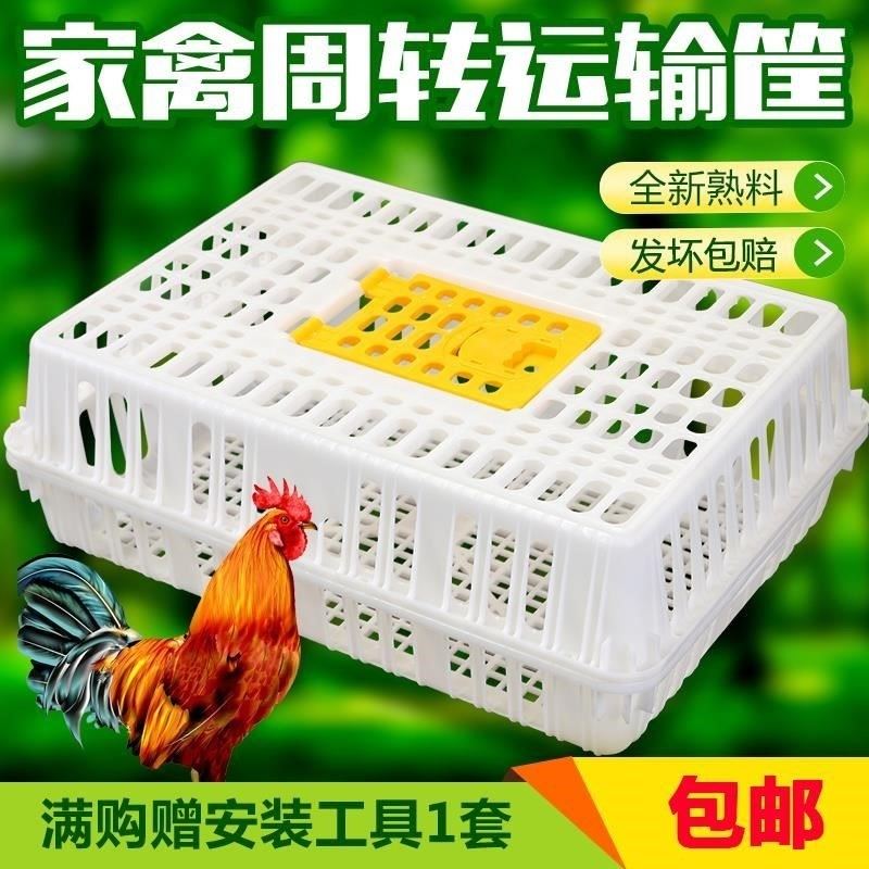 Broiler Liu Shuo Poultry cage Duck cage Large Plastic Chicken coop transport A chicken turnover box Chickensin the Toy/Childs/Puzzle/Building block/Model , Electronic/Light/Aerated/Tricky Toy , Plastic inflatable toys (Do not put other materials) category - from Buy2taobao.com to provide professional Taobao agent buy service
