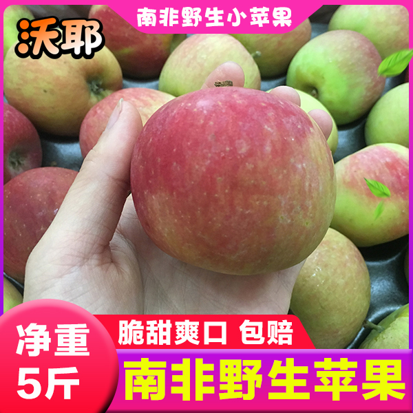 南非野生小苹果 丑苹果进口当季水果新鲜脆甜小平果萍果应季 包邮在类目 水产肉类/新鲜蔬果/熟食, 新鲜水果, 苹果中 - 来自Buy2taobao.com提供专业的淘宝代购服务