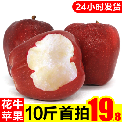 甘肃天水花牛苹果10斤包邮水果新鲜当季整箱粉批平果现季应季蛇果