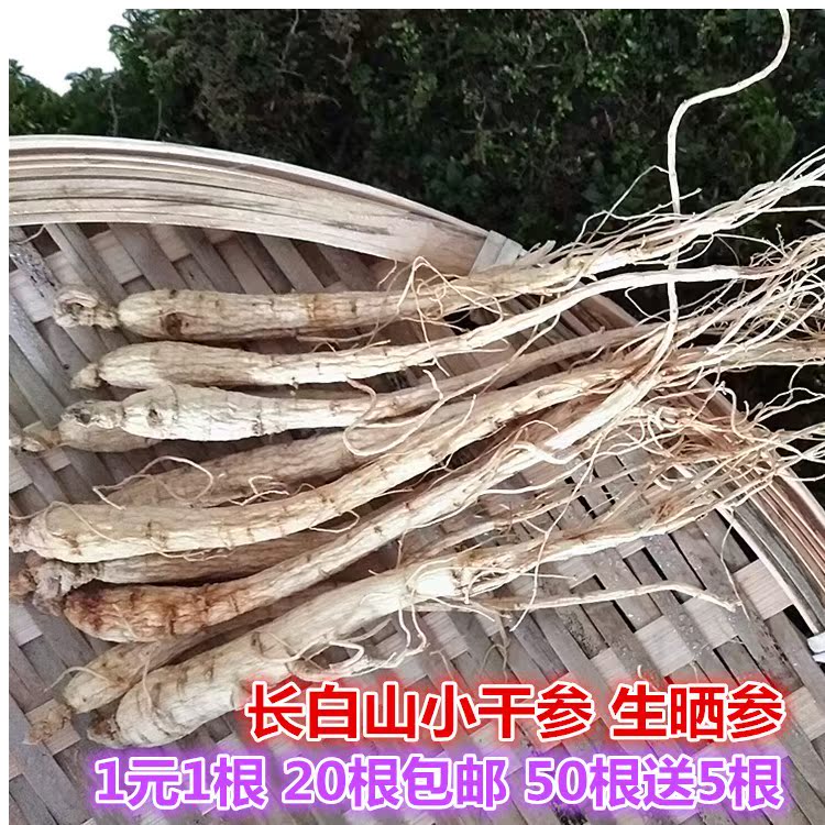 【1元小干参】生晒参可打粉白参干人参1元1根20根包邮error在类目 传统滋补营养品, 参类滋补品, 人参/园参中 - 来自Buy2taobao.com提供专业的淘宝代购服务