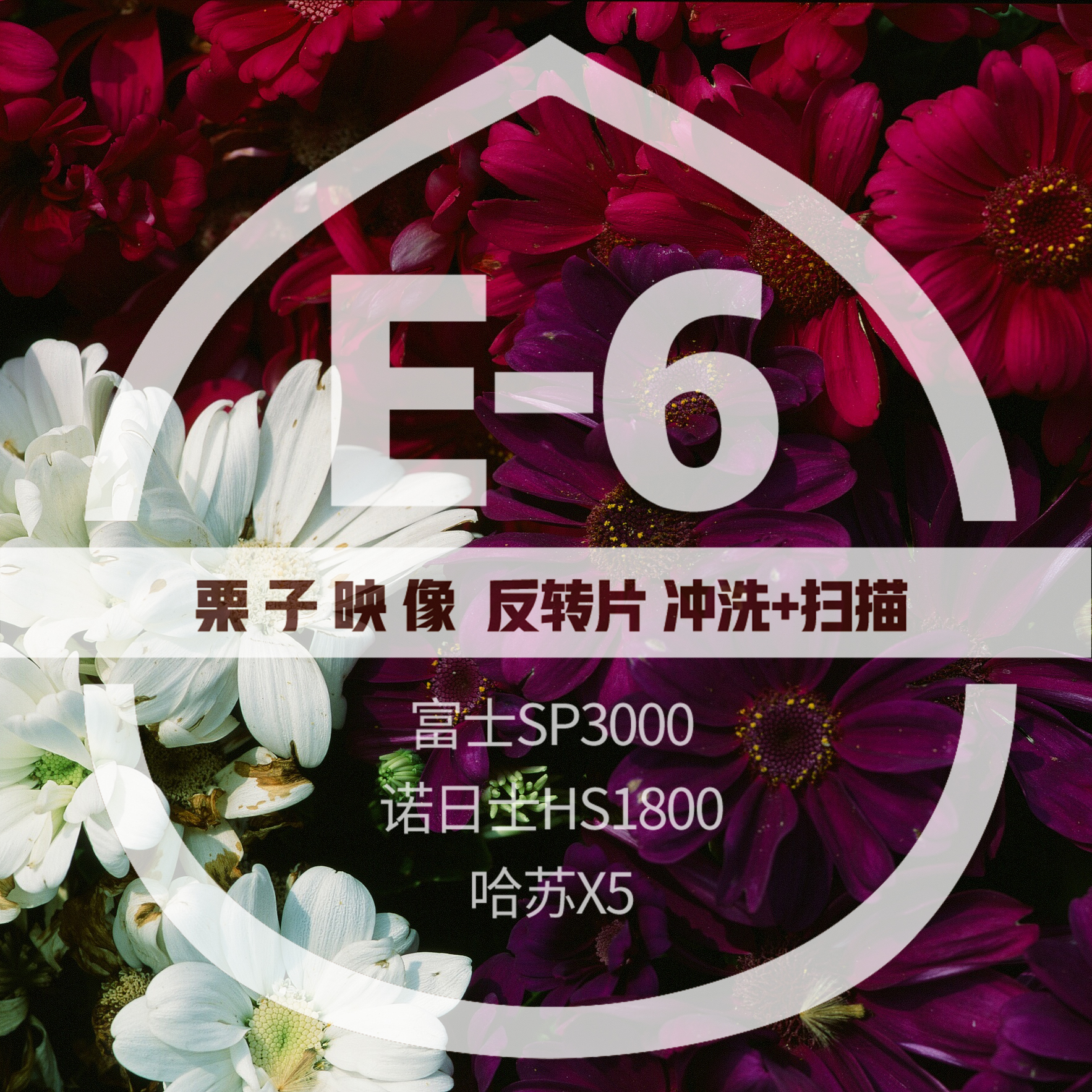 【栗子映像】反转片冲扫正片E6冲洗哈苏X5扫描幻灯片|msdalam kategori adat peribadi/Design Services/DIY, cetakan foto - dari Buy2taobao.com untuk memberikan perkhidmatan ejen Taobao profesional membeli