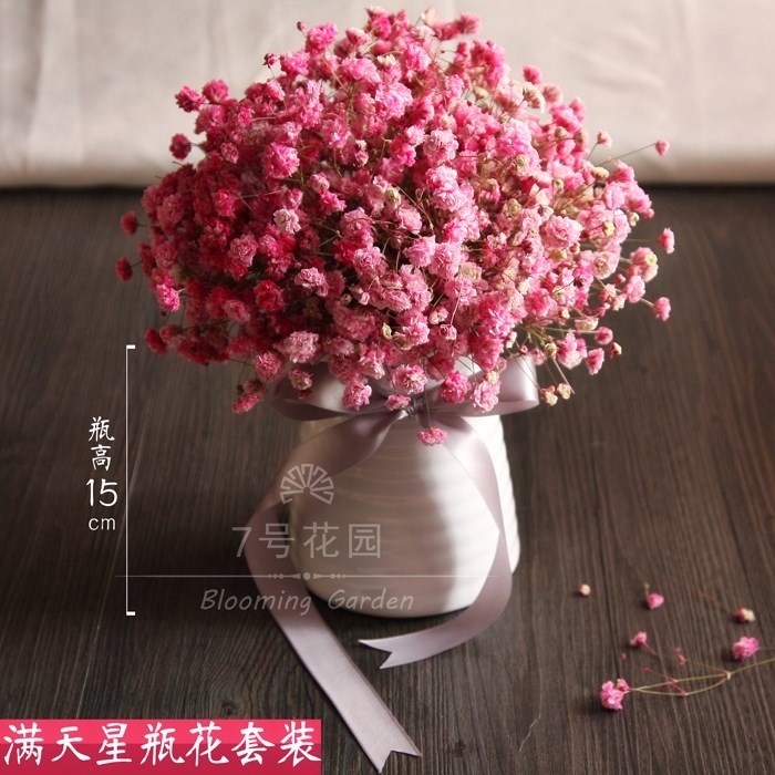 彩色 蓝色 粉色满天星鲜花干花 瓶花套装 全国顺丰包邮在类目 鲜花速递/花卉仿真/绿植园艺, 鲜花速递(同城)中 - 来自Buy2taobao.com提供专业的淘宝代购服务