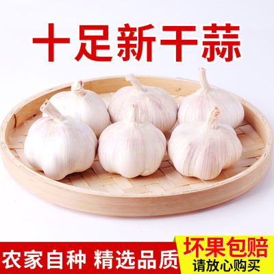 2019年新鲜河南特产干大蒜头干蒜5斤装农家鲜蒜紫白皮蒜籽大蒜瓣