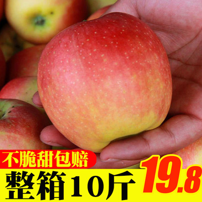 嘎啦苹果水果新鲜10斤带箱现货应季当季包邮脆甜红富士丑苹果整箱