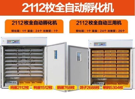 Incubator Electric heating Small penis hive automatic honeybee Hatch Incubators Egg ovenin the Hardware/Tool , Instrumentation , Electric Tools category - from Buy2taobao.com to provide professional Taobao agent buy service