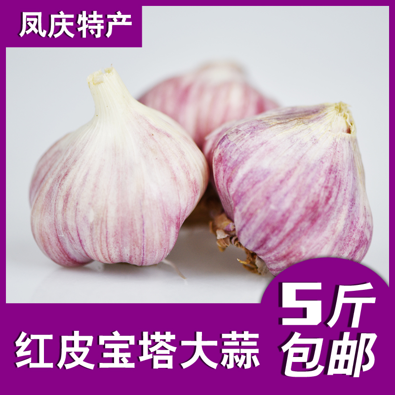 2019 新鮮大蒜 雲南鳳慶特産 紫皮大蒜 五斤裝 包郵 農家新鮮蔬菜在類目 水產肉類/新鮮蔬果/熟食, 新鮮蔬菜/蔬菜製品, 大蒜中 - 來自Buy2taobao.com提供專業的淘寶代購服務