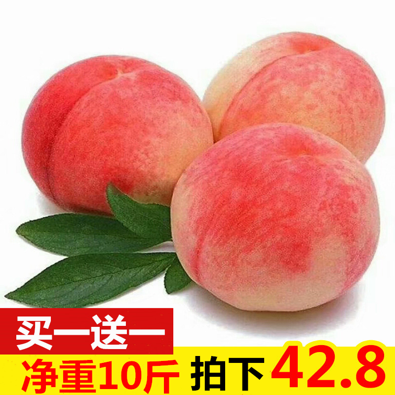 买一送一发10斤新鲜水蜜桃当季孕妇应季水果整箱现季时令5月生鲜在类目 水产肉类/新鲜蔬果/熟食, 新鲜水果, 其它中 - 来自Buy2taobao.com提供专业的淘宝代购服务
