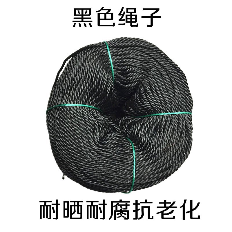 尼龙绳子聚乙烯绳黑色绳大棚绳帐篷绳捆绑绳晒衣绳园艺绳拉网线绳在类目 居家布艺, 缝纫DIY材料、工具及成品, 缝纫DIY配件/辅料/配饰, 绳子中 - 来自Buy2taobao.com提供专业的淘宝代购服务