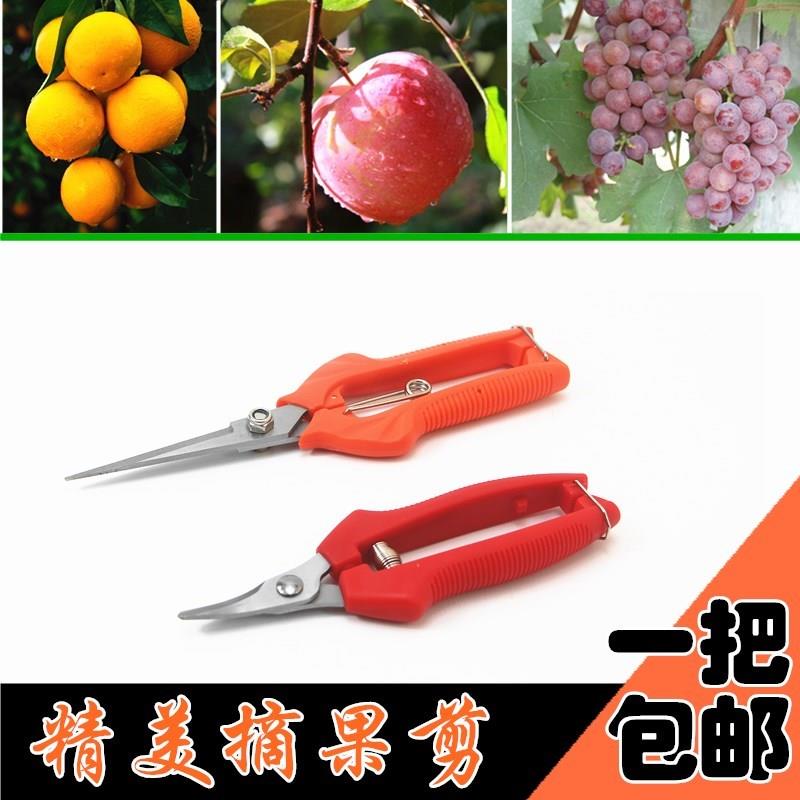 gardens Alice head Gardening shears Fruit tree Pruner Appoint Fruits and vegetables grape Orange Citrus Pickin the Flower delivery/Flowers simulation/Plants gardening , Gardening supplies , Gardening/Knife/Scissors/Saw (New) , Scissors  category - from Buy2taobao.com to provide professional Taobao agent buy service