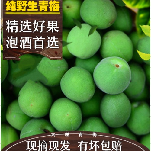 2019新鮮青梅果現摘高山野生酸脆泡酒梅子水果酵素帶箱5斤包郵在類目 水產肉類/新鮮蔬果/熟食, 新鮮水果, 其它中 - 來自Buy2taobao.com提供專業的淘寶代購服務